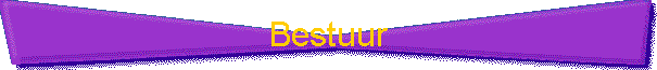 Bestuur